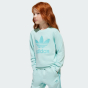 Спортивний костюм Adidas Originals дитячий TREFOIL CREW SE, фото 6 - інтернет магазин MEGASPORT