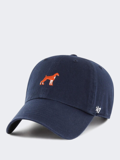 Кепка 47 Brand DOG BASE RUNNER ICON - 173359, фото 1 - інтернет-магазин MEGASPORT