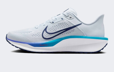 Кросівки Nike Quest 6 - 173691, фото 1 - інтернет-магазин MEGASPORT