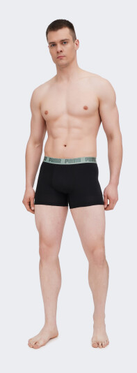 Нижнее белье Puma MEN PRINTED BOXERS 2P - 172565, фото 1 - интернет-магазин MEGASPORT