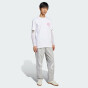 Спортивные штаны Adidas Originals TEAMGEIST TP, фото 3 - интернет магазин MEGASPORT