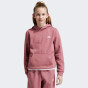 Кофта Adidas детская J SL FC FL HD, фото 1 - интернет магазин MEGASPORT