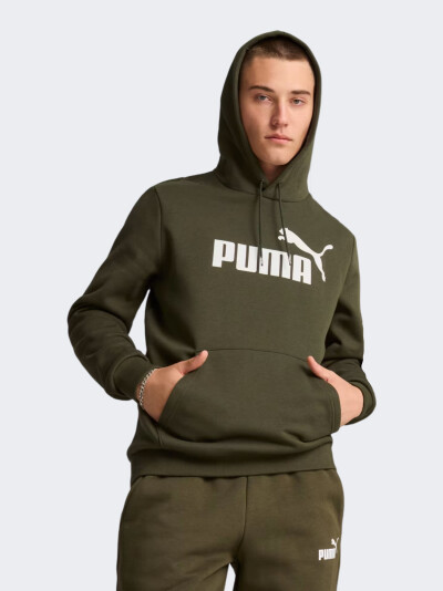 Кофта Puma ESS Big Logo Hoodie FL (s) - 167681, фото 1 - інтернет-магазин MEGASPORT
