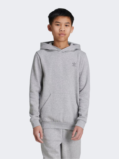 Кофта Adidas Originals HOODIE - 168148, фото 1 - інтернет-магазин MEGASPORT