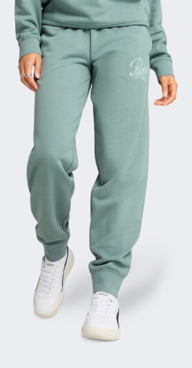 Спортивні штани Puma ESS SCRIPT Comfort Sweatpants TR cl - 171741, фото 1 - інтернет-магазин MEGASPORT