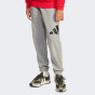 Спортивнi штани Adidas дитячі J BL FT PT 280, фото 1 - інтернет магазин MEGASPORT