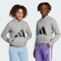 Кофта Adidas дитяча J BL FT HD 280, фото 4 - інтернет магазин MEGASPORT