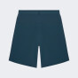Шорти Puma FCSD Shorts Promo, фото 2 - інтернет магазин MEGASPORT