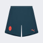 Шорти Puma FCSD Shorts Promo, фото 1 - інтернет магазин MEGASPORT