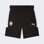 Шорти Puma FCSD EVOSTRIPE Shorts, фото 1 - інтернет магазин MEGASPORT