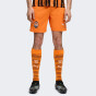 Шорти Puma FCSD Shorts Replica, фото 1 - інтернет магазин MEGASPORT