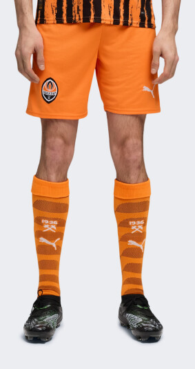 Шорти Puma FCSD Shorts Replica - 173844, фото 1 - інтернет-магазин MEGASPORT