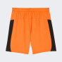 Шорти Puma FCSD Shorts Replica, фото 5 - інтернет магазин MEGASPORT
