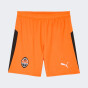 Шорти Puma FCSD Shorts Replica, фото 4 - інтернет магазин MEGASPORT