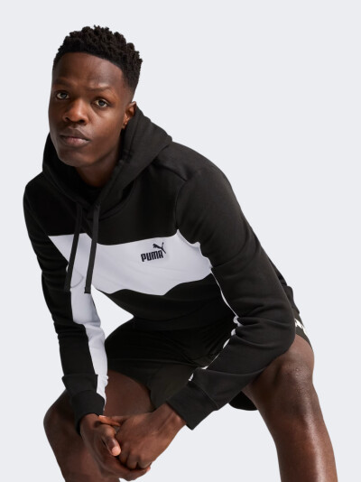 Кофта Puma ESS BLOCK Hoodie TR - 172165, фото 1 - інтернет-магазин MEGASPORT