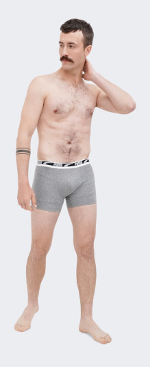 Спідня білизна Puma MEN EVERYDAY MULTI LOGO BOXER 2P - 164813, фото 1 - інтернет-магазин MEGASPORT