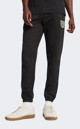 Спортивные штаны Puma SPORTS LEGACY Graphic Sweatpants TR cl - 171301, фото 1 - интернет-магазин MEGASPORT
