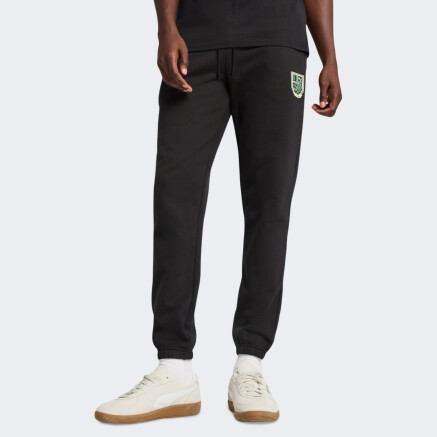 Спортивные штаны Puma SPORTS LEGACY Graphic Sweatpants TR cl - 171301, фото 1 - интернет-магазин MEGASPORT