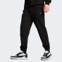 Спортивнi штани Puma ESS ELEVATED Pants TR cl, фото 1 - інтернет магазин MEGASPORT