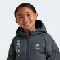 Куртка Adidas детская LK DY MM JKT, фото 5 - интернет магазин MEGASPORT