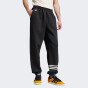 Спортивные штаны Adidas Originals NC PANTS, фото 1 - интернет магазин MEGASPORT
