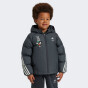 Куртка Adidas детская LK DY MM JKT, фото 1 - интернет магазин MEGASPORT