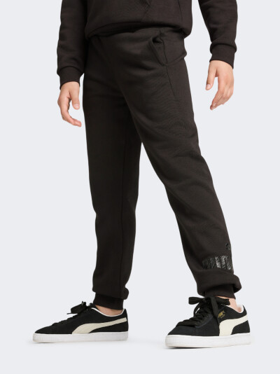 Спортивнi штани Puma ESS+ ANIMAL Sweatpants FL G - 167949, фото 1 - інтернет-магазин MEGASPORT