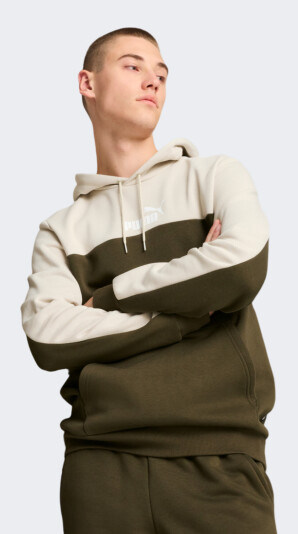 Кофта Puma ESS+ Block Hoodie FL - 168827, фото 1 - інтернет-магазин MEGASPORT