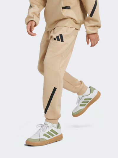 Спортивнi штани Adidas J Z.N.E. PT - 167773, фото 1 - інтернет-магазин MEGASPORT
