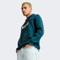 Кофта Puma ESS+ 2 Col Big Logo Hoodie FL, фото 1 - інтернет магазин MEGASPORT