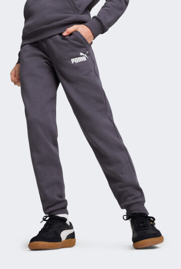 Спортивные штаны Puma детские ESS Logo Pants FL cl B - 167074, фото 1 - интернет-магазин MEGASPORT