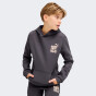 Кофта Puma детская ESS+ MID 90s Hoodie FL B, фото 1 - интернет магазин MEGASPORT