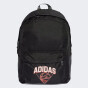 Рюкзак Adidas CL BPK HOOPS, фото 1 - інтернет магазин MEGASPORT