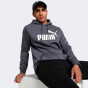 Кофта Puma ESS Big Logo Hoodie FL (s), фото 1 - интернет магазин MEGASPORT