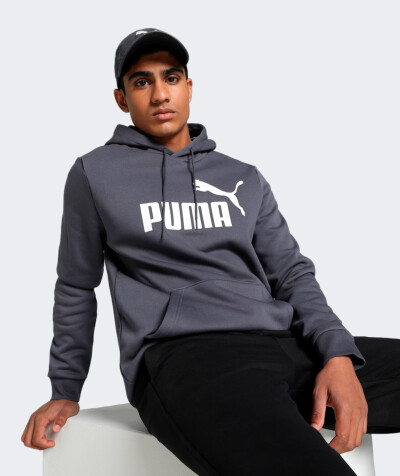 Кофта Puma ESS Big Logo Hoodie FL (s) - 167682, фото 1 - інтернет-магазин MEGASPORT