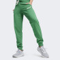 Спортивные штаны Puma ESS+ BLOSSOM Script Pants TR, фото 1 - интернет магазин MEGASPORT