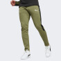 Спортивные штаны Puma EVOSTRIPE Pants DK, фото 1 - интернет магазин MEGASPORT
