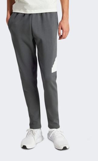 Спортивные штаны Adidas M FI BOS PT - 162875, фото 1 - интернет-магазин MEGASPORT