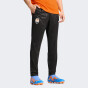Спортивнi штани Puma FCSD Training Warm Pant, фото 1 - інтернет магазин MEGASPORT