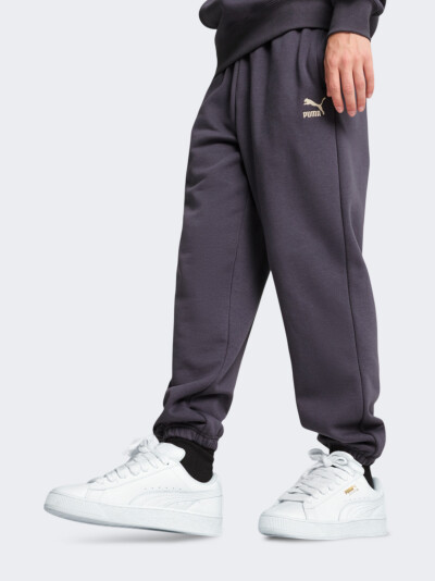 Спортивнi штани Puma Classics Small Logo Sweatpants FL - 169146, фото 1 - інтернет-магазин MEGASPORT
