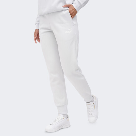 Спортивные штаны Puma ESS Sweatpants FL cl (s) - 167072, фото 1 - интернет-магазин MEGASPORT