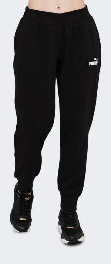 Спортивные штаны Puma ESS Sweatpants FL Cl - 140596, фото 1 - интернет-магазин MEGASPORT
