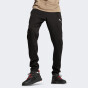 Спортивнi штани Puma EVOSTRIPE Warm Pants DK, фото 1 - інтернет магазин MEGASPORT