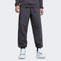 Спортивнi штани Puma BMW MMS ESS+ PANTS FLEECE, фото 1 - інтернет магазин MEGASPORT
