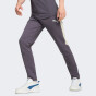 Спортивные штаны Puma EVOSTRIPE Pants DK, фото 1 - интернет магазин MEGASPORT