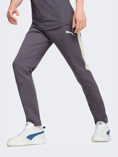 Спортивнi штани Puma EVOSTRIPE Pants DK - 167110, фото 1 - інтернет-магазин MEGASPORT