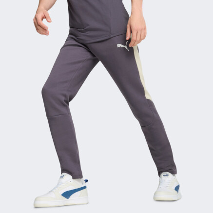 Спортивные штаны Puma EVOSTRIPE Pants DK - 167110, фото 1 - интернет-магазин MEGASPORT
