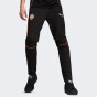 Спортивные штаны Puma FCSD Casuals Pants, фото 1 - интернет магазин MEGASPORT