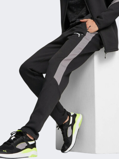 Спортивные штаны Puma Evostripe Pants - 148201, фото 1 - интернет-магазин MEGASPORT