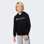 Кофта Champion дитяча hooded sweatshirt, фото 1 - інтернет магазин MEGASPORT